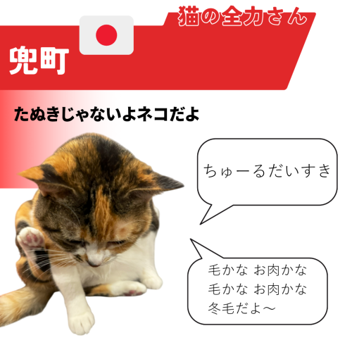 水色　白　ペイント　お知らせ　Instagram投稿 20241120 141409 0000